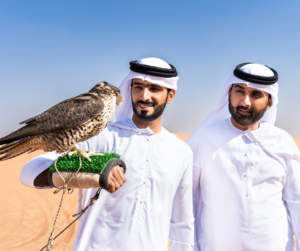 الصقر العربي: جوهرة الصحراء وشريك الفارس