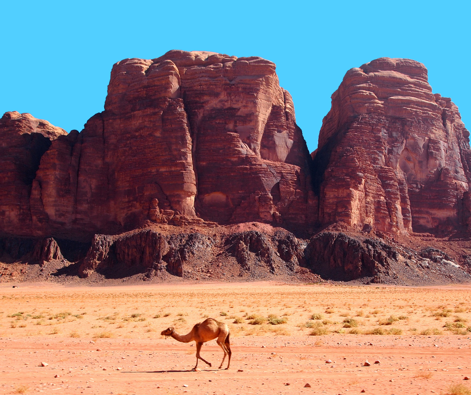 wadi rum