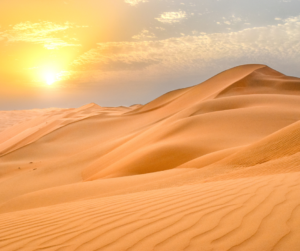 الصحراء العربية: بحر من الرمال وحضن التاريخ