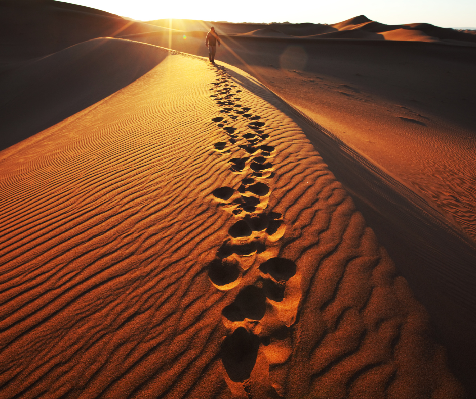 صحراء الدهناء
