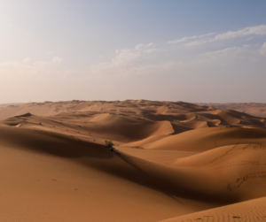 أكبر صحراء في الوطن العربي: الربع الخالي، بحر من الرمال