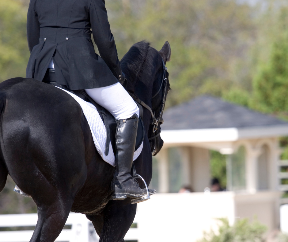 الخيل العربية